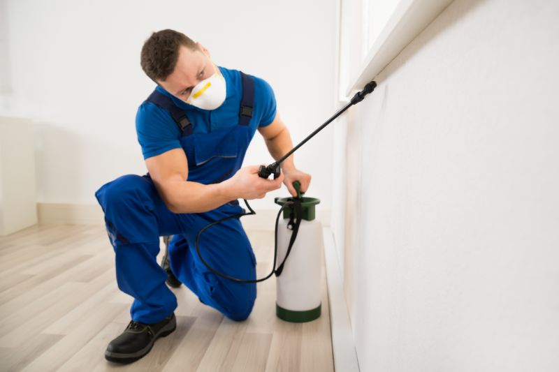 Centipede Extermination in Frisco, TX